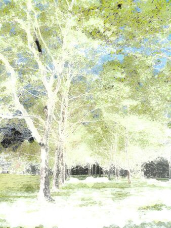 Illustrationのイラスト素材