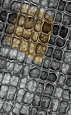 textureのイラスト素材