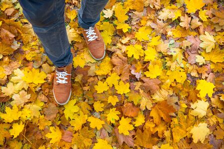 Fall, autumn, leaves, legs and shoes. Conceptual image of legs in boots on the autumn leaves. Feet shoes walking in nature. Outdoor with Autumn season nature on backgroundの写真素材