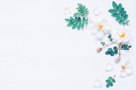 Summer flower background with composition made of white rose flowers. Flat lay, top view, space for textの写真素材