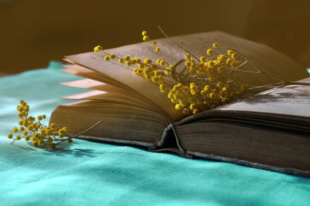 Spring still life - open old book on the blue tablecloth with yellow mimosa flowers near it. Dark vintage tones processing. Selective focus at the book spine.の写真素材