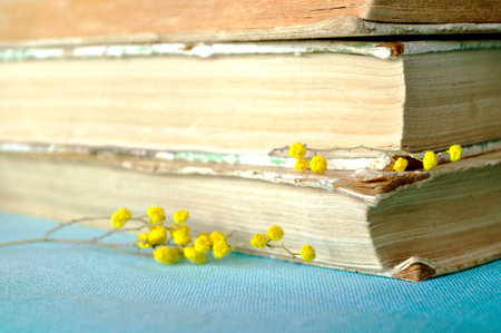 Vintage spring still life - stack of old books with yellow mimosa flowers. yellow pastel processing. Selective focus at the upper flowers and pages.の写真素材
