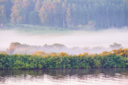 Spring landscape of forest nature and river in the sunrise - foggy spring nature viewの写真素材