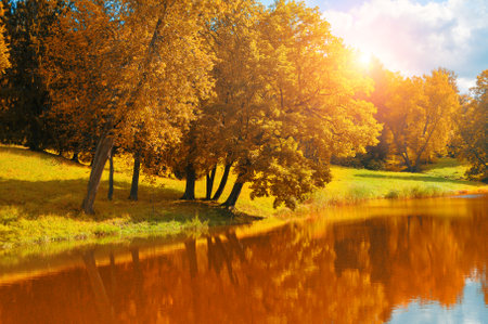 Autumn landscape. Yellowed autumn trees near the river in sunny weatherの写真素材