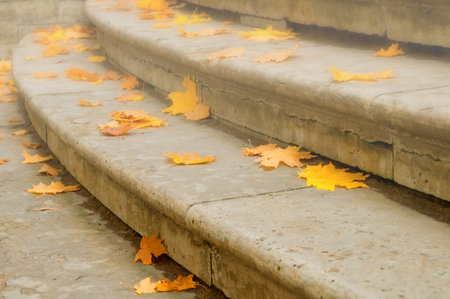 Autumn leaves. Fallen dry orange maple leaves on the stone staircase. Autumn background with fallen...