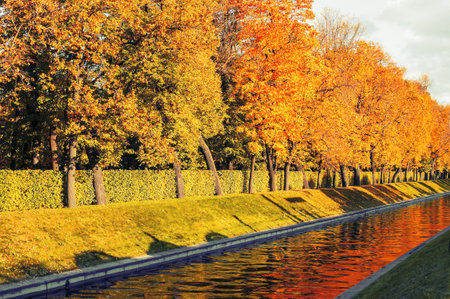 Autumn trees along the city channel in autumn sunny weather. Autumn landscapeの写真素材