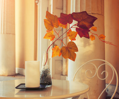 Autumn background - tree branch with colorful autumn leaves in the vase on the table. Autumn table at home, spending autumn at cozy homeの写真素材