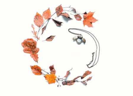 Autumn background. Seasonal autumn nature berries, pumpkins, apples and flowers on the wooden background. Autumn leaves background with free space for textの写真素材