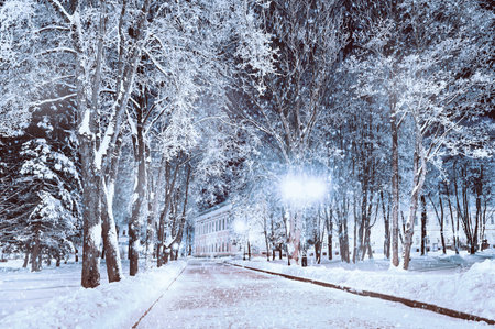 Christmas night landscape, winter street in the park with frosty trees and bright shining lanterns, winter night landscape with Christmas moodの写真素材