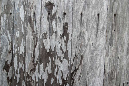  Old wood window texture backgroundの写真素材