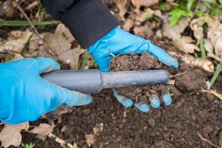 Pintpoint metal detector in hand. Pintpointer at work. A man with a metal detector in rubber gloves. Search for old coins and jewelry. High quality photoの写真素材