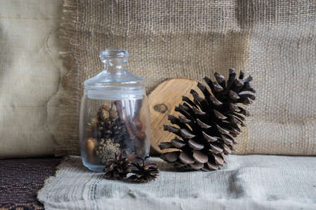 Still life with a big bump, a glass jar and acorns on a background of drapery. Artwork for drawing...