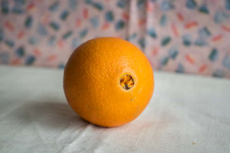 Orange Washington with a belly button on a drapery. High quality photoの写真素材
