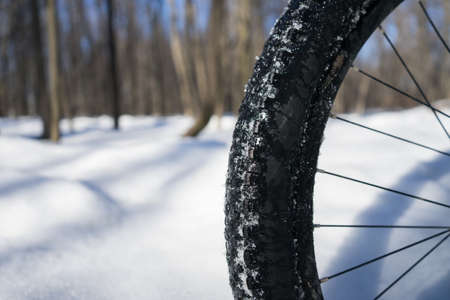 Bicycle wheel in the snow with place for text. Winter bike season. High quality photoの写真素材