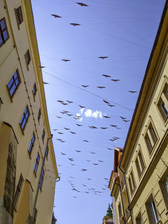 Metal birds between houses in the city of Ivano-Frankivsk, Ukraine. Street sculpture.の写真素材