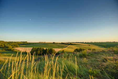 Panoramic view of a peaceful rural landscape during the golden hour. Rolling green hills, cultivated...