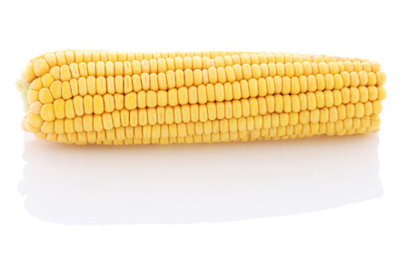 Cob of corn close-up on a white background. Isolate