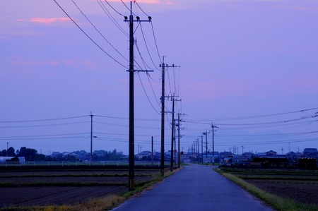 eveningの写真素材