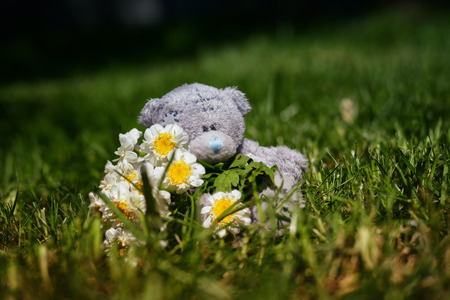 Soft plush teddy bear with flowerの写真素材