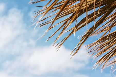 Sky backgroundの写真素材