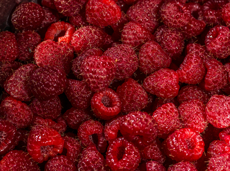 Closeup of fresh picked raspberriesの写真素材