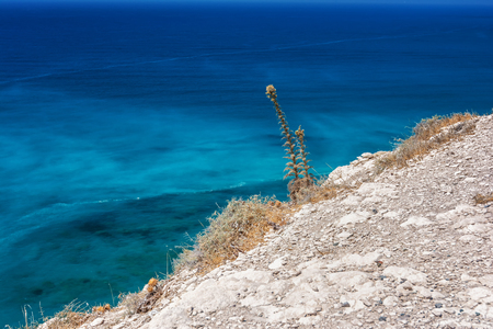 Petra tou Romiou, Aphrodite's birthplace in Paphos, Cyprusの写真素材