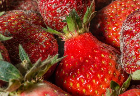 Fresh ripe strawberry on a dark backgroundの写真素材