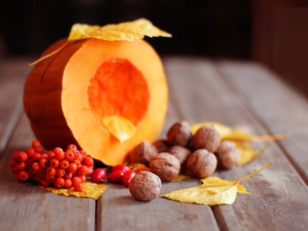 Autumn scene with a pumpkin and ashの写真素材