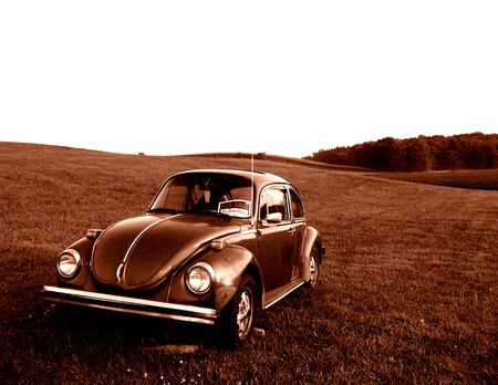 This old forgotten beatle must have been for sale for years before being left to let time take over.のeditorial素材