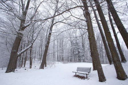 A park bench foregrounds this winter scenic.の写真素材