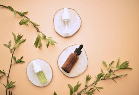 Natural organic cosmetics oil and serum for skin care layout with leaves. Bio science is a concept of beauty.empty glass bottle for branding and labels.の写真素材