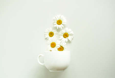 White Cup and chamomile flowers on a white background. Flowers fall from the Cup. Surreal composition with chamomile tea.の写真素材