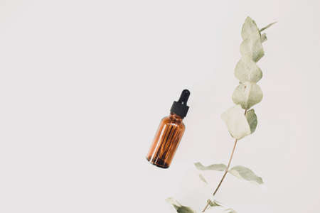Bottle of aromatic cosmetic or essential oil on a white background surrounded by eucalyptus branches on a white background. Top view. Copy space.の写真素材