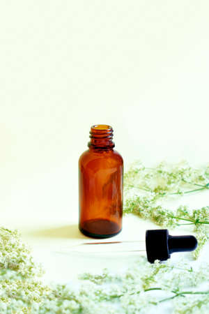 Bottle with pipette. on white background. Concept of natural cosmetics and ingredients.の写真素材