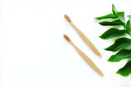 A set of two wooden bamboo toothbrushes decorated with a branch on a white background. Plastic free concept. Zero waste. Copy space.の写真素材
