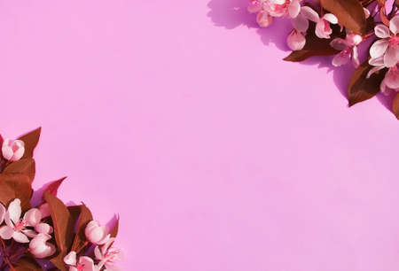 Frame of lilac flowers. Copy space. Top view. Flat lay.の写真素材