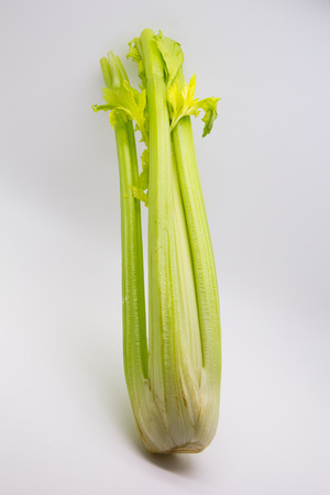 Celeryの写真素材