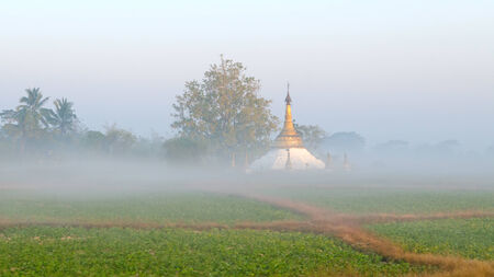 Pagoda in the mistの写真素材