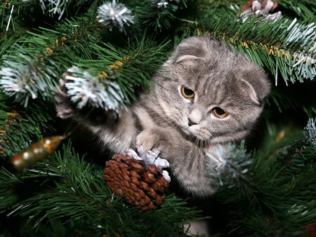 Happy new year!の写真素材