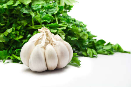 one fresh white garlic with parsleyの写真素材