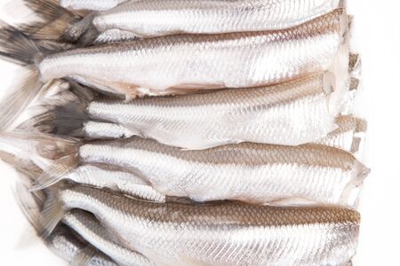 close-up many clear trunk of smelt uncookedの写真素材