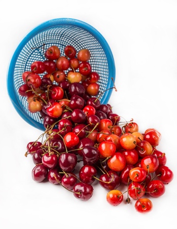 fresh cherry with drops the water in blue colanderの写真素材