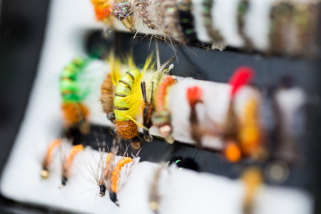 different fly fishing bugs in box on sunlight with selective focusの写真素材