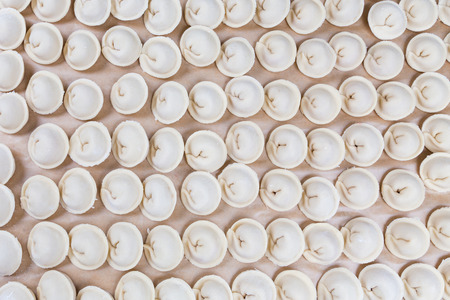 uncooked pelmeny ravioli accurate line on paperの写真素材