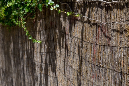 street wall with plants and decor of bambooの写真素材