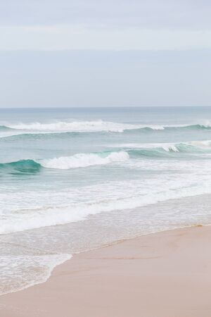 landscape atlantic coastline with stones, plants and surfs in cloudy dayの写真素材