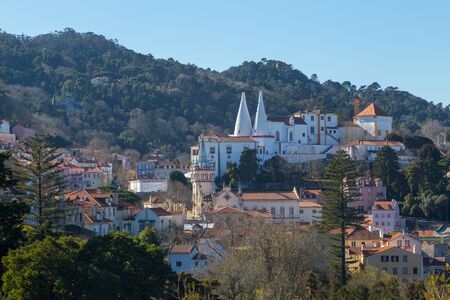 view on national museum palace sintra with wight conus pipesの写真素材
