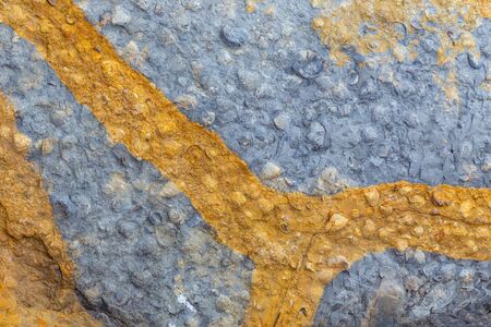 Rock texture background, great design for any purposes. Background, texture.