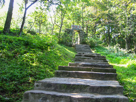 Stone stairs in the park. The path is surrounded by green trees.の写真素材