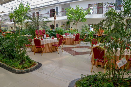 Interior of a restaurant with tables, chairs and plants in potsの写真素材